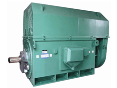 瑞安Y系列6KV高压电机
